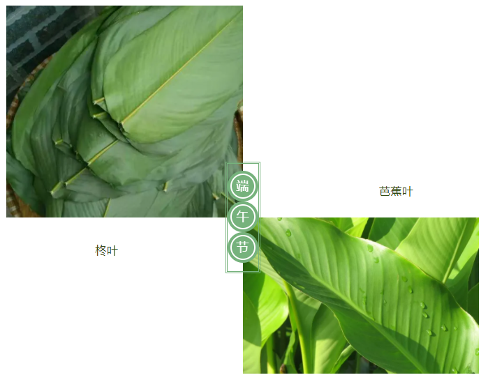 荣牌医纺