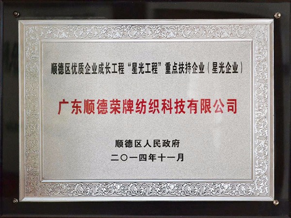荣牌-2012年获顺德政府颁发“星光企业”称号